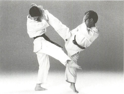 極真空手の上段回し蹴りの歴史と 効果的な上段回し蹴りの練習法 空手日本一を目指す空手バカ30代